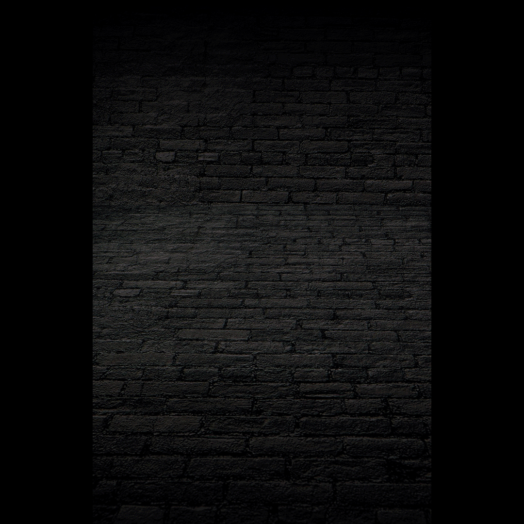 W4_Day4_Leaflet.gif