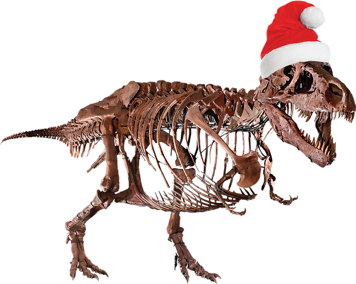 SUE_wih_hat.psd (1).png