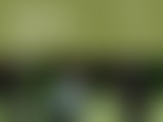 Benessere in Equilibrio