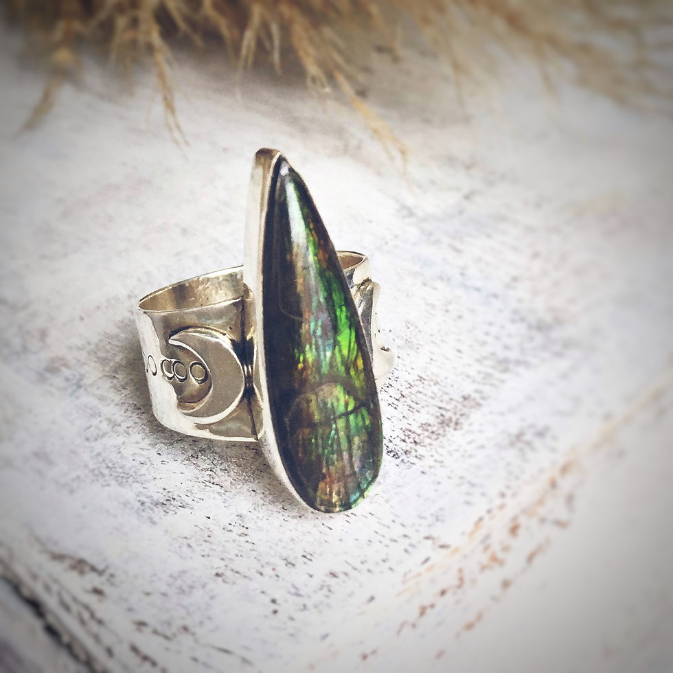 Thumbnail: Silver ring with Canadian ammolite and Ethiopian opal 