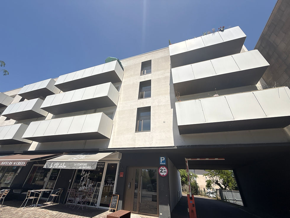 Investigation de taches sur une façade avec isolation extérieure – Gradignan