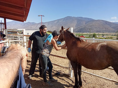 Taller: Primeros auxilios en ganadería