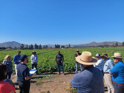 Día de Campo: Criterios para la programación de riego en hortalizas de temporada