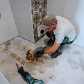 mold remediation in montecito