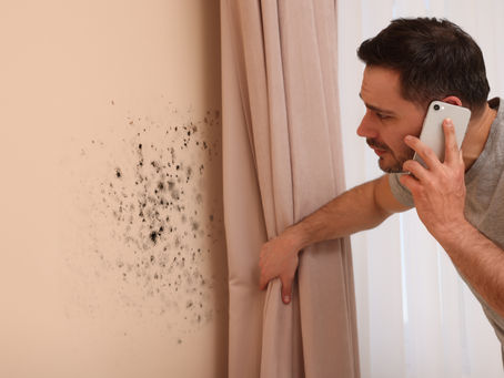 How Fast Does Mold Grow After Water Damage? (2026)