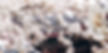 unsplash-vTSOYsCoM_Q_edited.jpg