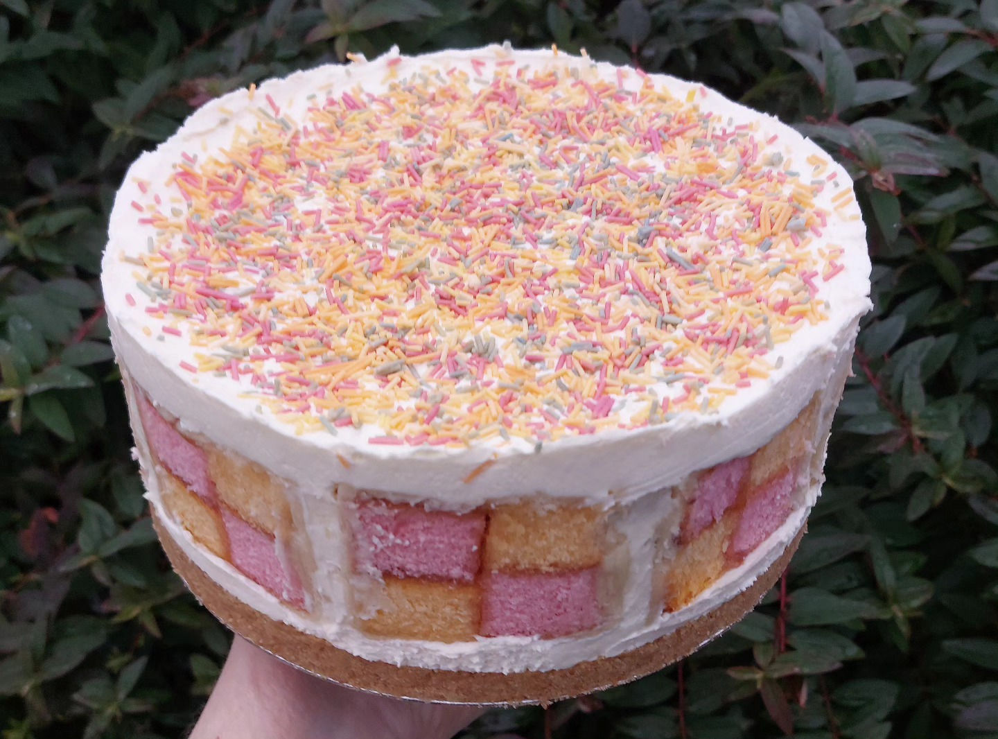Battenberg Cheesecake