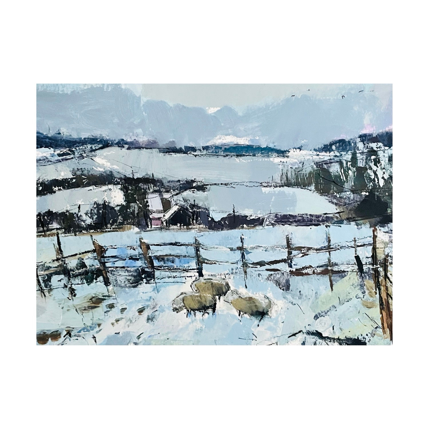 Winter sheep - framed (avail through Nadia Waterfield fine Art)