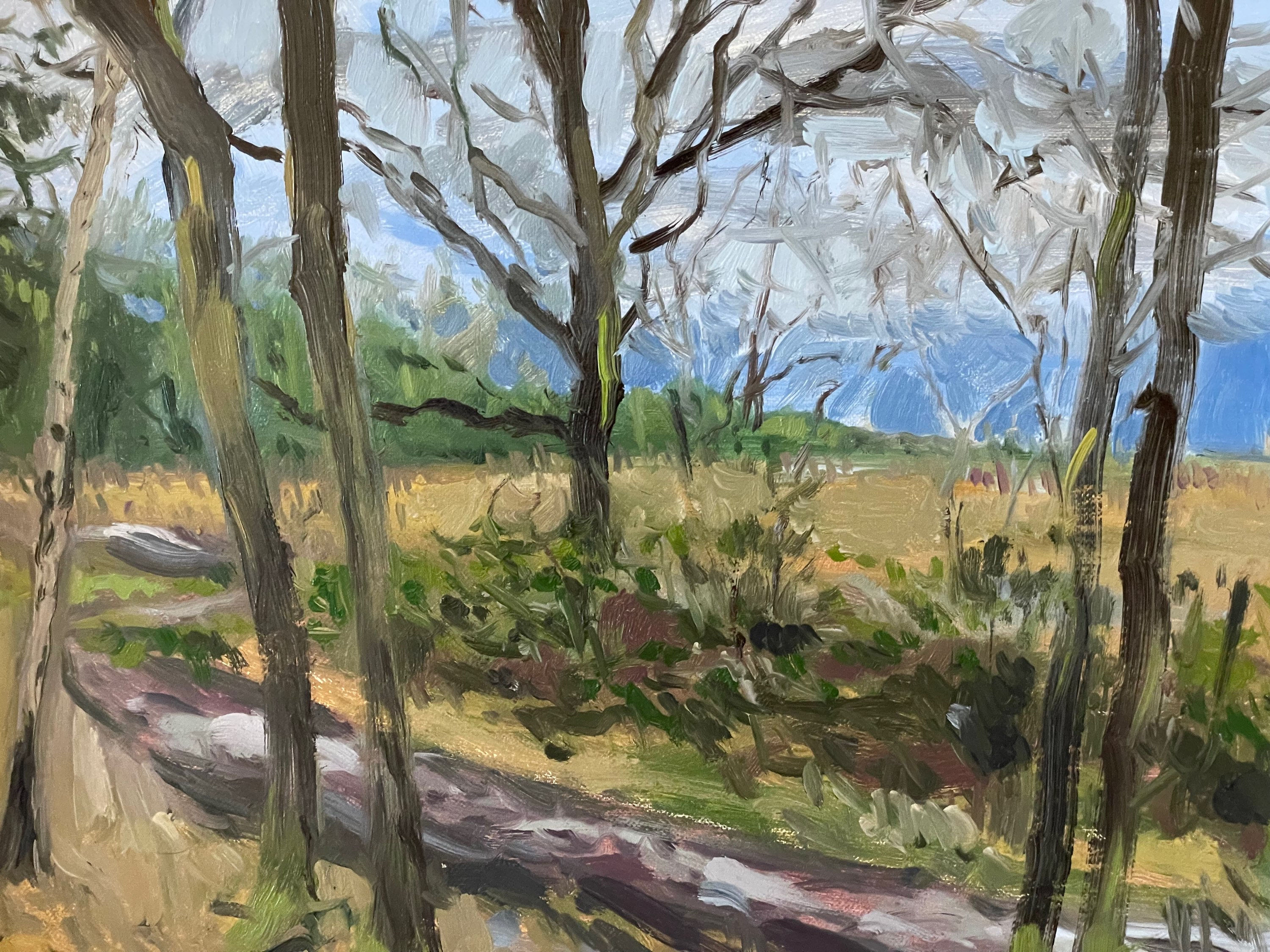 View of Wimbledon Common