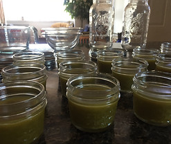 Salves in Jars.jpg