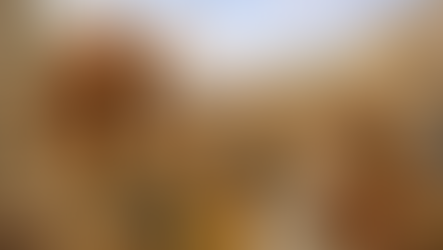 Prayers from Paul - Philippians