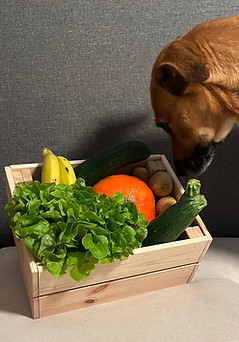 WhatsApp Bild 2024-11-05 um 10.21.16_a20cb538.jpg