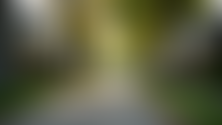 Discover Lincoln Homes: Your Next Dream Home