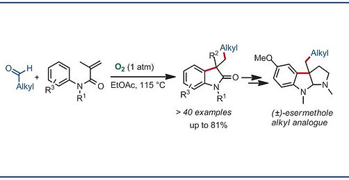 pb11.JPG