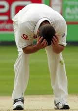 cricket harminson.jpg