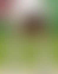 Is stress really the enemy in sports performance?