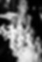 adam-morgan-wedding-474.jpg