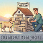 Foundation Skills vs Behaviors