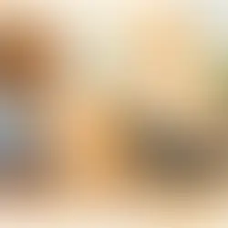 What an In Home Puppy Trainer Sees First