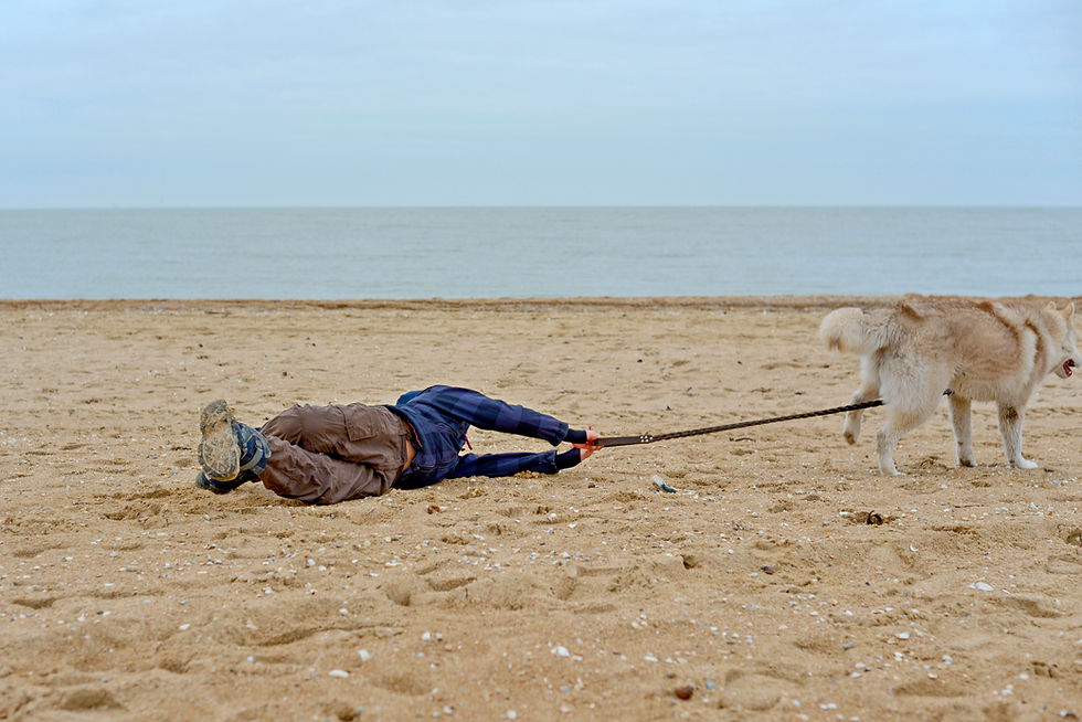 Stop the Tug-of-War: A Smarter Way to Walk Your Dog
