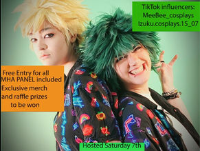 My hero academia panel !