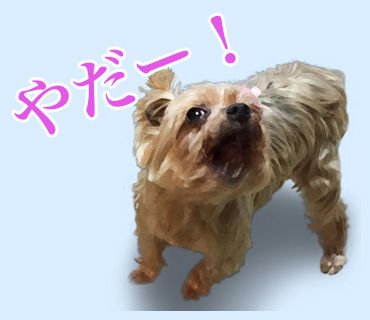 もも