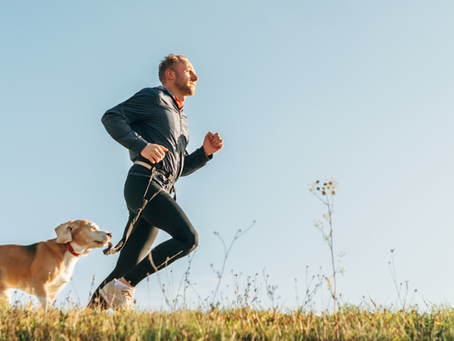 April is Active Dog Month