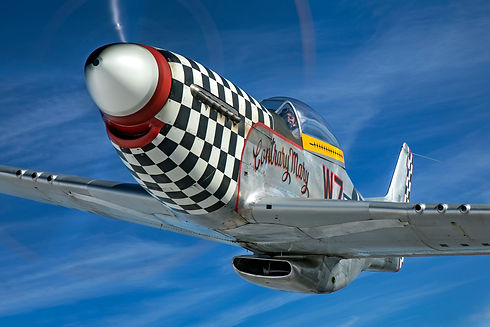 Fly in a Mustang