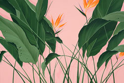 Bloom_26