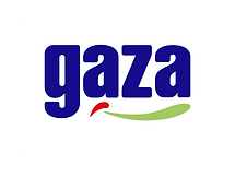 gaza.png