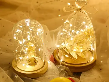 LED String Lights Are Smart Choice for Indoor Décor