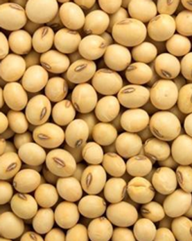 soyabean.png