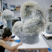 Zemer Peled .