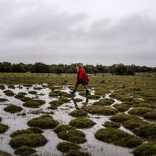 Campo Garzón, un paraíso para artistas en un 'pueblito' de Uruguay.