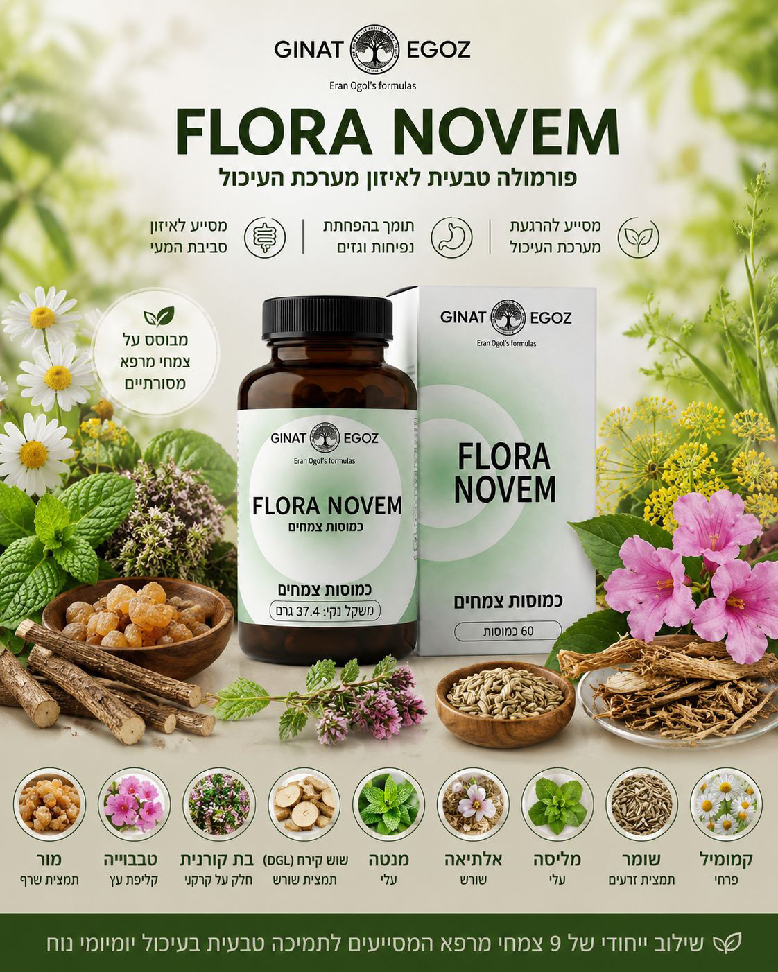 FLORA NOVEM