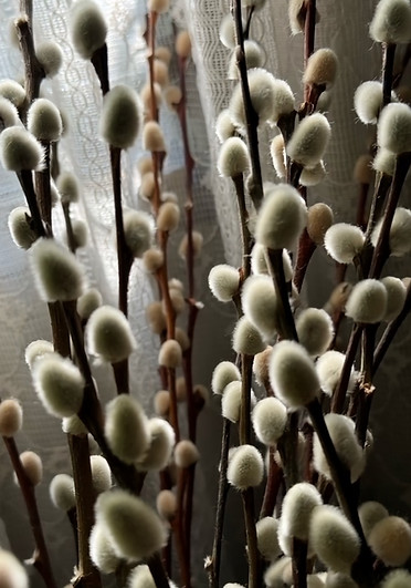 pw flip pic_edited.jpg