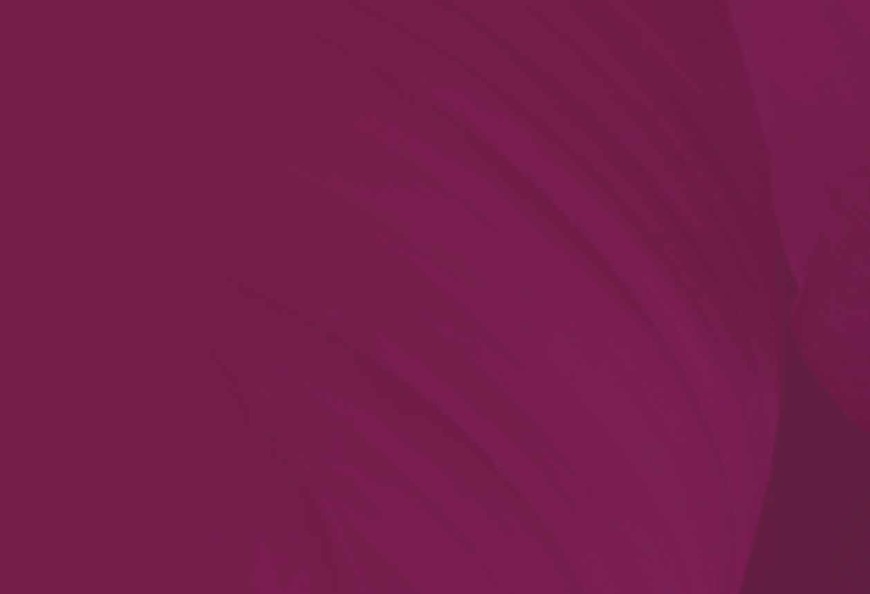 fond dos album sundri.jpg