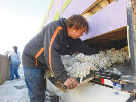 ‘There’s something in all of this’