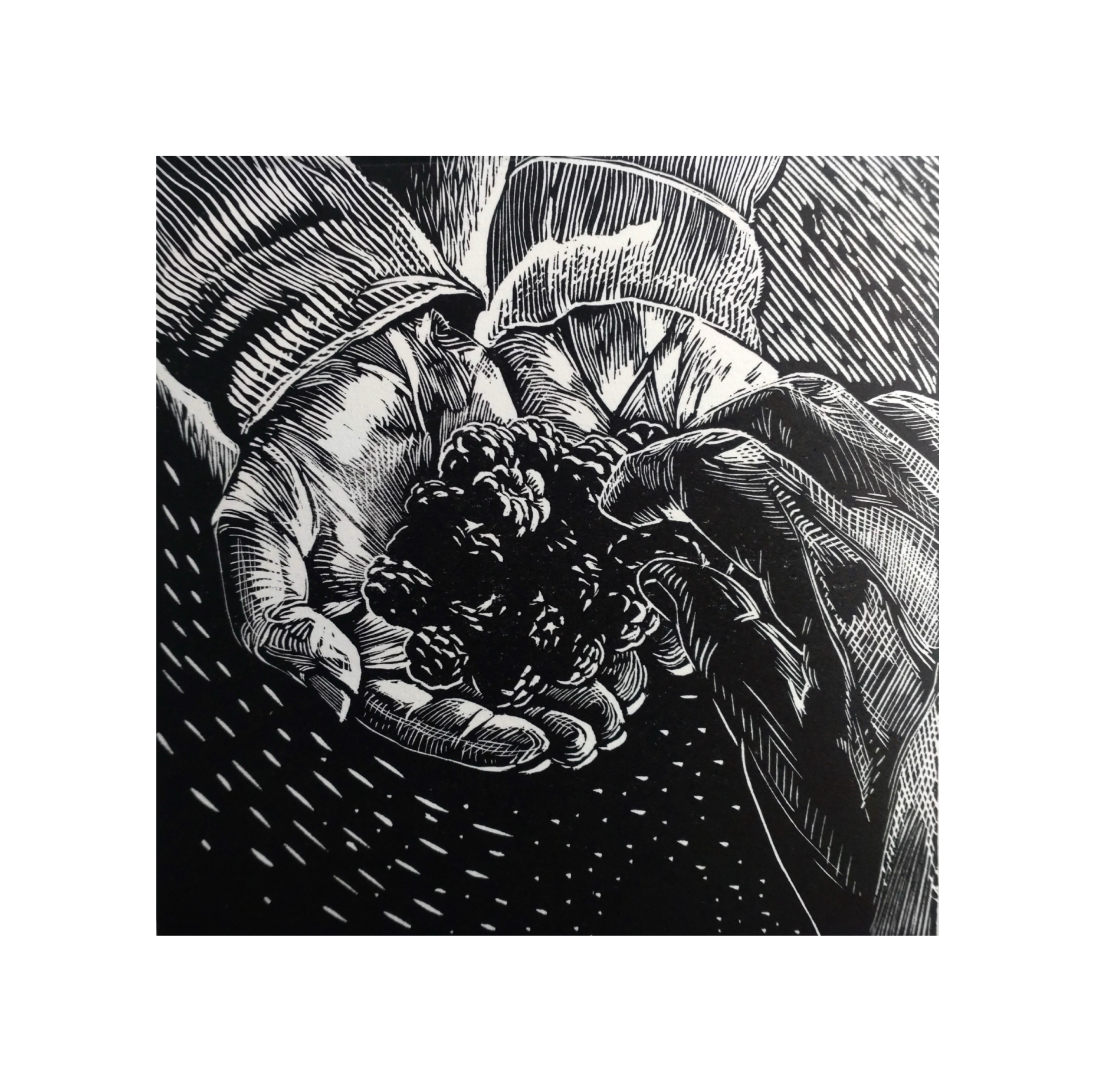 'Harvest' Wood engraving