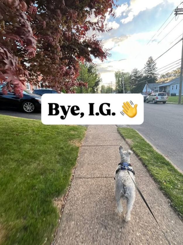 Leaving Instagram