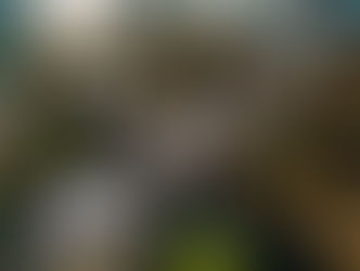 Poema de 1º de Primaria