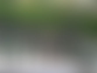 Grabación vídeo final de curso