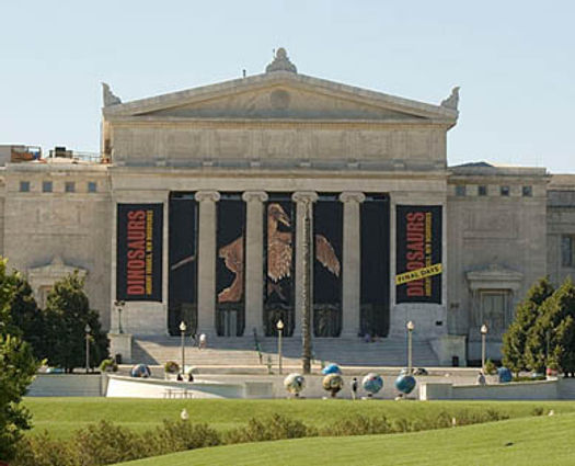 FieldMuseum.jpg