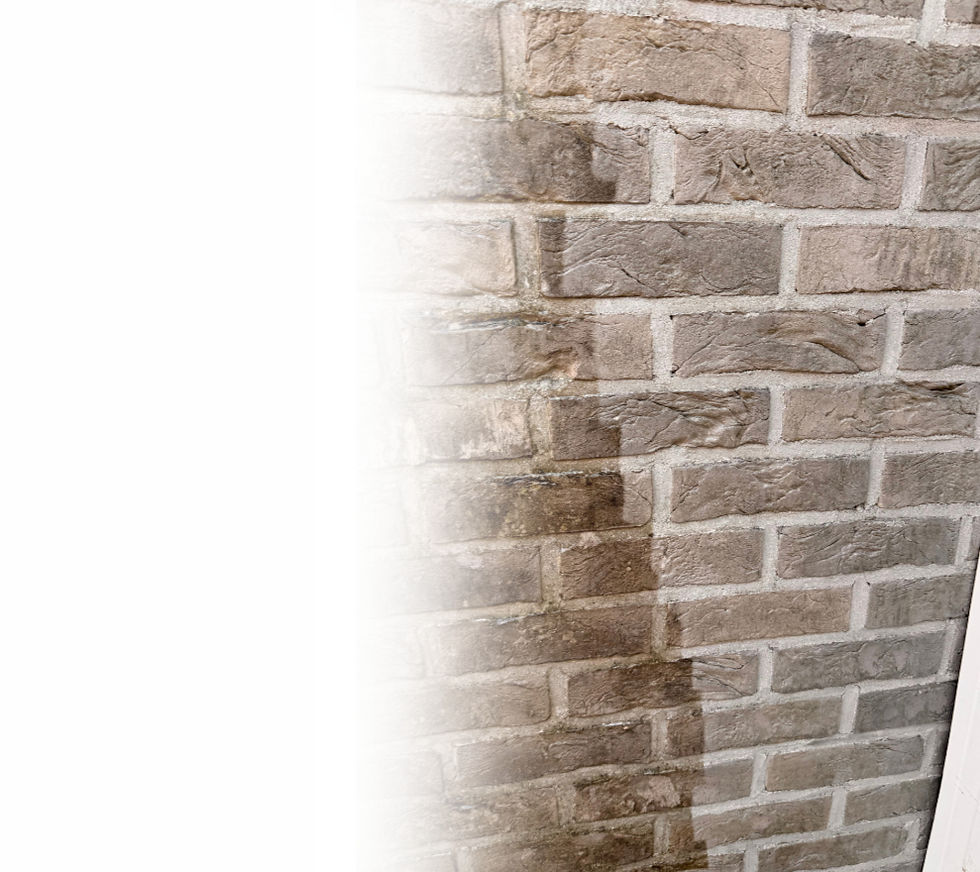 gevelreiniging header_edited.jpg