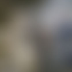 Visite des CAP fleuriste, suite