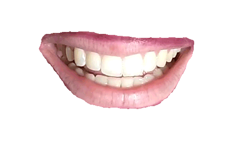 5815c2d35ccacf0fb51b9765_346.gif