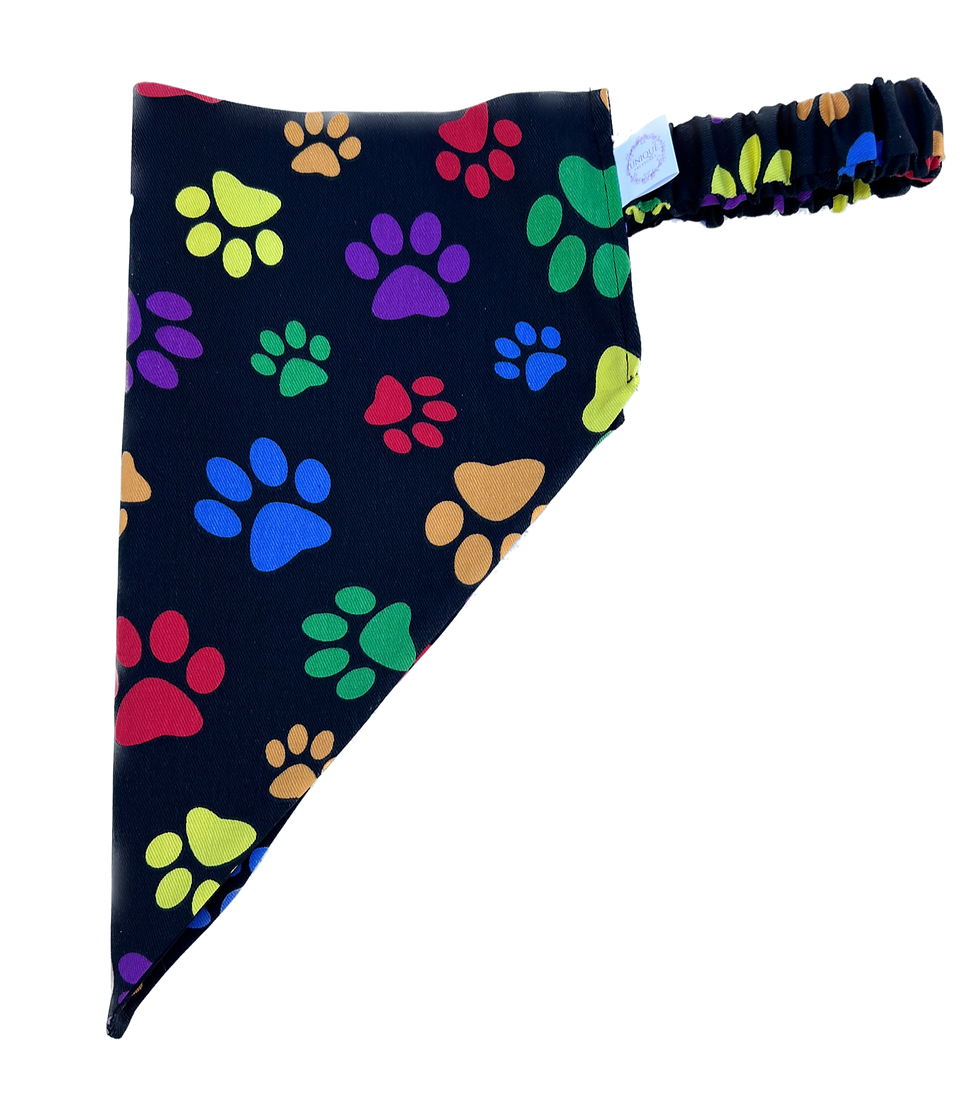 Slip on Dog Bandana Double Sided Rainbow Paws Side