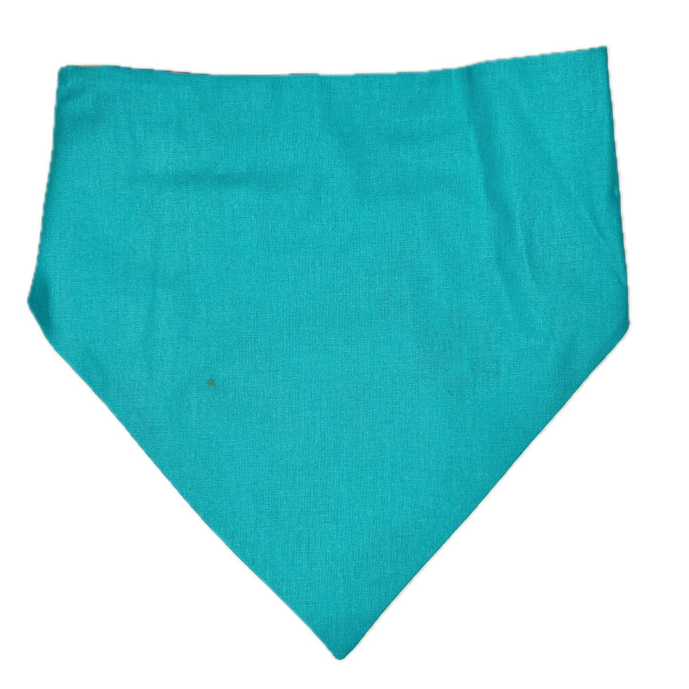 Thumbnail: BB06 Birthday Dog Bandana Slip On Golden Pawty Time