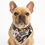 Thumbnail: SB08 Slip on Dog Bandana Double Sided Gorgeous Pups