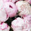 Thumbnail: Blush - Eco Tin Candle
